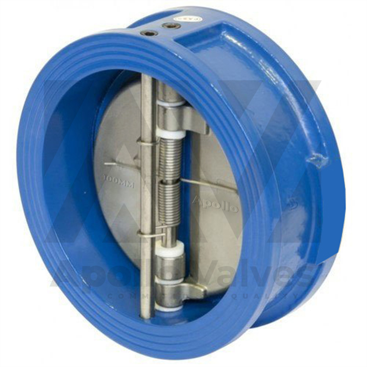 Dual Plate Check Valve