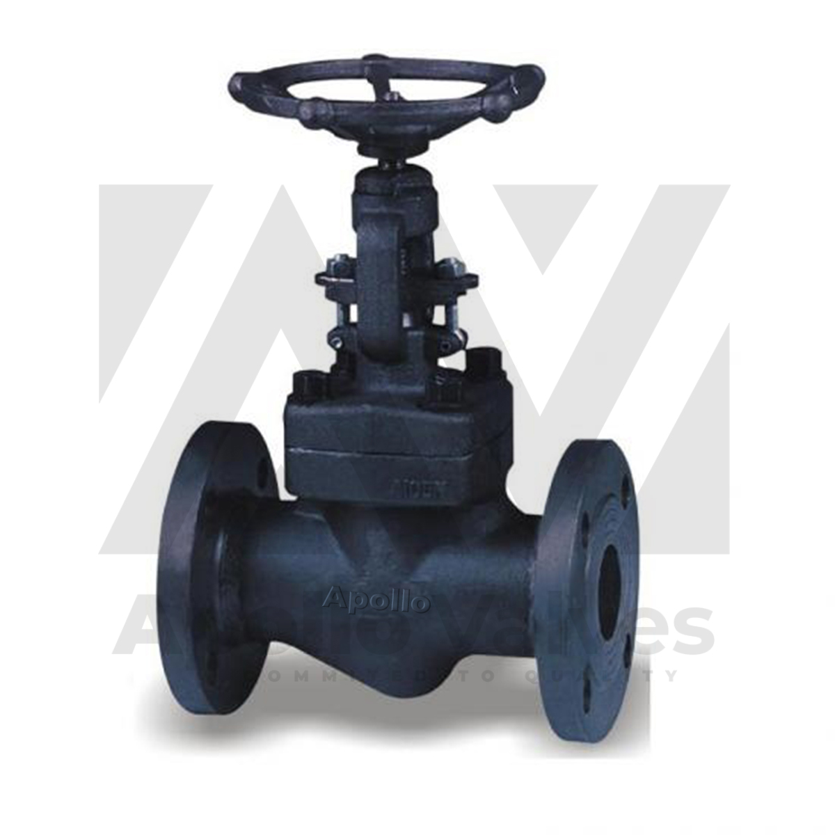 FORGED GLOBE VALVE FLANGED END