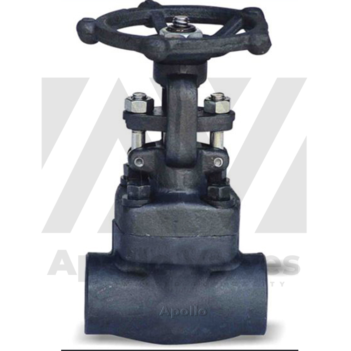 Forged Globe Valve Socket 800