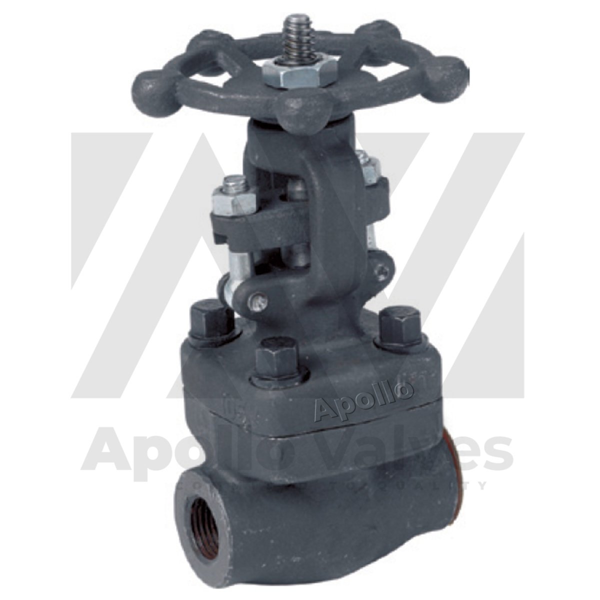 Forged Steel Gate Valve 800