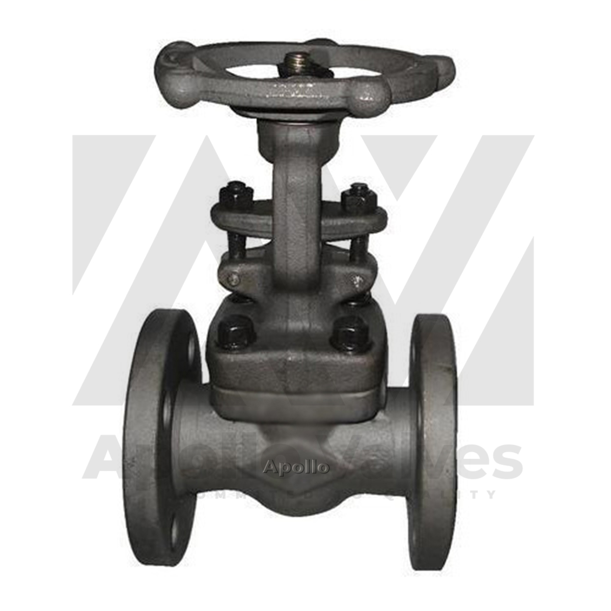 FORGED STEEL GATE VALVE FLANGE END
