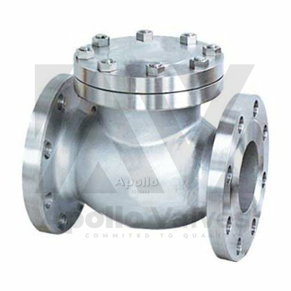 Swing Check Valve